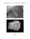 Continuous Methods for Treating Liquids and Manufacturing Certain     Constituents (e.g., Nanoparticles) in Liquids, Apparatuses and     Nanoparticles and Nanoparticle/Liquid Solution(s) Resulting Therefrom diagram and image