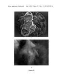 Continuous Methods for Treating Liquids and Manufacturing Certain     Constituents (e.g., Nanoparticles) in Liquids, Apparatuses and     Nanoparticles and Nanoparticle/Liquid Solution(s) Resulting Therefrom diagram and image