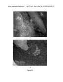 Continuous Methods for Treating Liquids and Manufacturing Certain     Constituents (e.g., Nanoparticles) in Liquids, Apparatuses and     Nanoparticles and Nanoparticle/Liquid Solution(s) Resulting Therefrom diagram and image