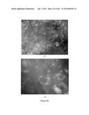 Continuous Methods for Treating Liquids and Manufacturing Certain     Constituents (e.g., Nanoparticles) in Liquids, Apparatuses and     Nanoparticles and Nanoparticle/Liquid Solution(s) Resulting Therefrom diagram and image