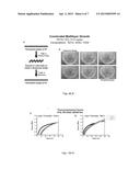 COMPOSITE SHAPE MEMORY MATERIALS diagram and image