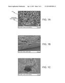GRAPHENE AND FLUORPOLYMER COMPOSITE diagram and image
