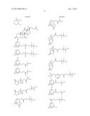 SUBSTITUTED ARYL ONIUM MATERIALS diagram and image