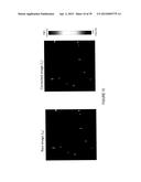 SYSTEM AND DEVICE FOR CHARACTERIZING CELLS diagram and image