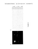 SYSTEM AND DEVICE FOR CHARACTERIZING CELLS diagram and image