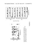 SYSTEM AND DEVICE FOR CHARACTERIZING CELLS diagram and image