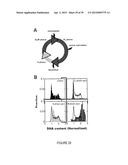 SYSTEM AND DEVICE FOR CHARACTERIZING CELLS diagram and image