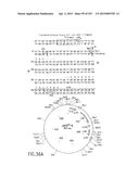 COMPOSITIONS AND METHODS FOR USE IN RECOMBINATIONAL CLONING OF NUCLEIC     ACIDS diagram and image