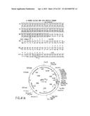 COMPOSITIONS AND METHODS FOR USE IN RECOMBINATIONAL CLONING OF NUCLEIC     ACIDS diagram and image