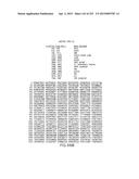 COMPOSITIONS AND METHODS FOR USE IN RECOMBINATIONAL CLONING OF NUCLEIC     ACIDS diagram and image