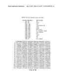 COMPOSITIONS AND METHODS FOR USE IN RECOMBINATIONAL CLONING OF NUCLEIC     ACIDS diagram and image