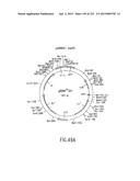 COMPOSITIONS AND METHODS FOR USE IN RECOMBINATIONAL CLONING OF NUCLEIC     ACIDS diagram and image