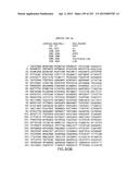 COMPOSITIONS AND METHODS FOR USE IN RECOMBINATIONAL CLONING OF NUCLEIC     ACIDS diagram and image