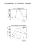 COMPOSITIONS AND METHODS FOR USE IN RECOMBINATIONAL CLONING OF NUCLEIC     ACIDS diagram and image