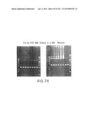 COMPOSITIONS AND METHODS FOR USE IN RECOMBINATIONAL CLONING OF NUCLEIC     ACIDS diagram and image