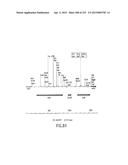 COMPOSITIONS AND METHODS FOR USE IN RECOMBINATIONAL CLONING OF NUCLEIC     ACIDS diagram and image