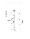 COMPOSITIONS AND METHODS FOR USE IN RECOMBINATIONAL CLONING OF NUCLEIC     ACIDS diagram and image