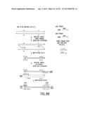 COMPOSITIONS AND METHODS FOR USE IN RECOMBINATIONAL CLONING OF NUCLEIC     ACIDS diagram and image