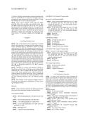 COMPOSITIONS AND METHODS FOR USE IN RECOMBINATIONAL CLONING OF NUCLEIC     ACIDS diagram and image