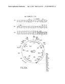 COMPOSITIONS AND METHODS FOR USE IN RECOMBINATIONAL CLONING OF NUCLEIC     ACIDS diagram and image