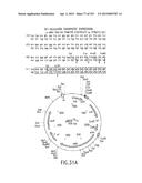 COMPOSITIONS AND METHODS FOR USE IN RECOMBINATIONAL CLONING OF NUCLEIC     ACIDS diagram and image