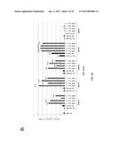 ZINC FINGER NUCLEASE FOR THE CFTR GENE AND METHODS OF USE THEREOF diagram and image