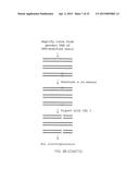 ZINC FINGER NUCLEASE FOR THE CFTR GENE AND METHODS OF USE THEREOF diagram and image