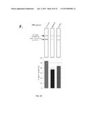 ZINC FINGER NUCLEASE FOR THE CFTR GENE AND METHODS OF USE THEREOF diagram and image