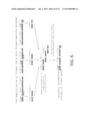 ZINC FINGER NUCLEASE FOR THE CFTR GENE AND METHODS OF USE THEREOF diagram and image