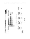 ZINC FINGER NUCLEASE FOR THE CFTR GENE AND METHODS OF USE THEREOF diagram and image