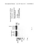 ZINC FINGER NUCLEASE FOR THE CFTR GENE AND METHODS OF USE THEREOF diagram and image