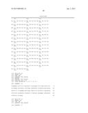 ZINC FINGER NUCLEASE FOR THE CFTR GENE AND METHODS OF USE THEREOF diagram and image
