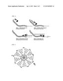 METHOD FOR CONTROLLING DEGRADATION OF BIODEGRADABLE POLYESTER AND     DEGRADATION-CONTROLLED BIODEGRADABLE POLYESTER diagram and image