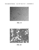 Electroporator Having an Elongated Hollow Member diagram and image