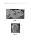 MICROFLUIDIC CARTRIDGE DEVICES AND METHODS OF USE AND ASSEMBLY diagram and image