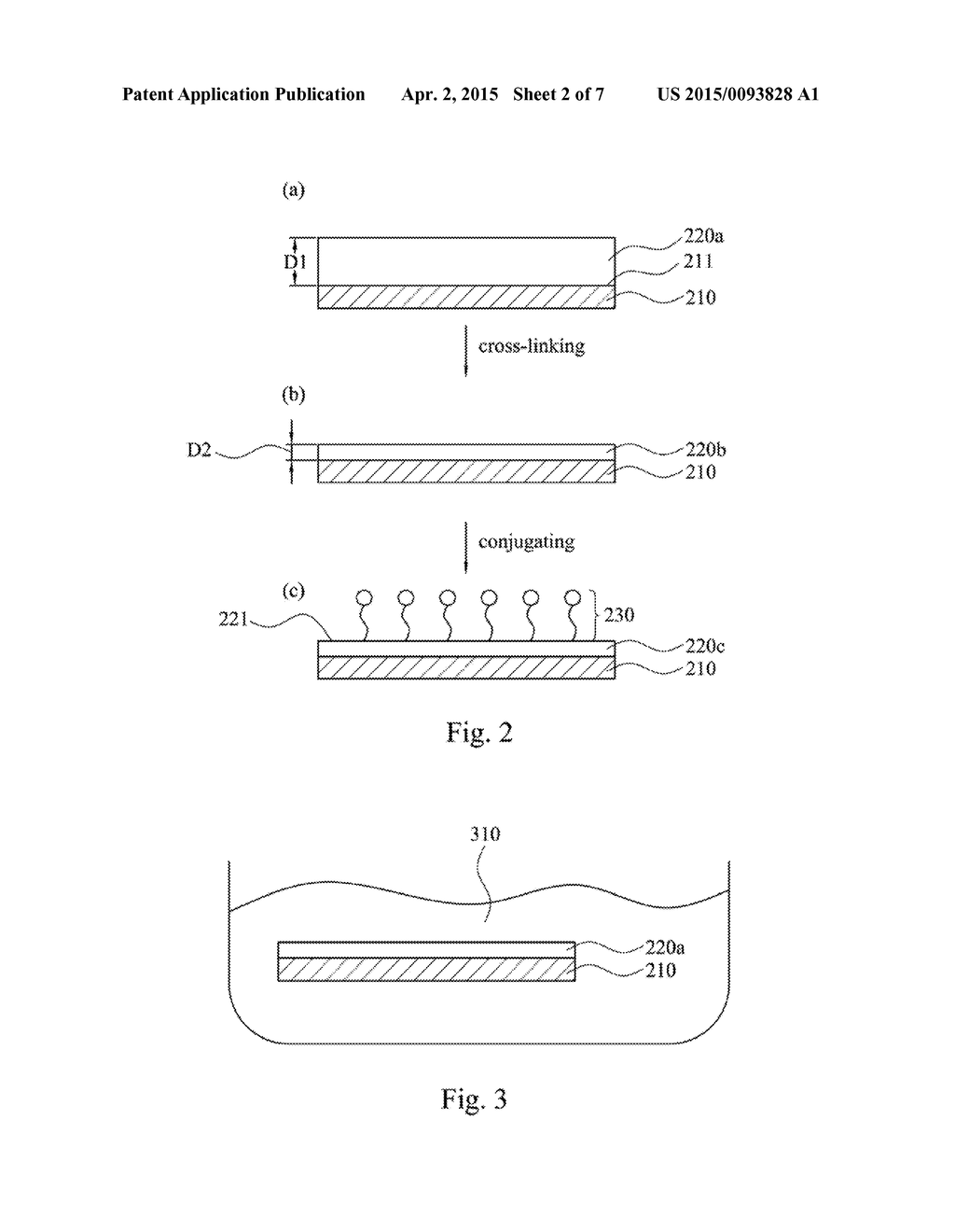 CELL CULTURING ARTICLE AND METHOD FOR MANUFACTURING THEREOF - diagram, schematic, and image 03