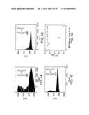 SYSTEMS AND METHODS FOR SINGLE-MOLECULE NUCLEIC-ACID ASSAY PLATFORMS diagram and image