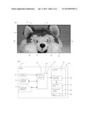 System for Controlled Distribution of Light in Toy Characters diagram and image