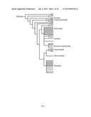 ANURAN CROSS-SPECIES MOLECULAR SENSORS diagram and image