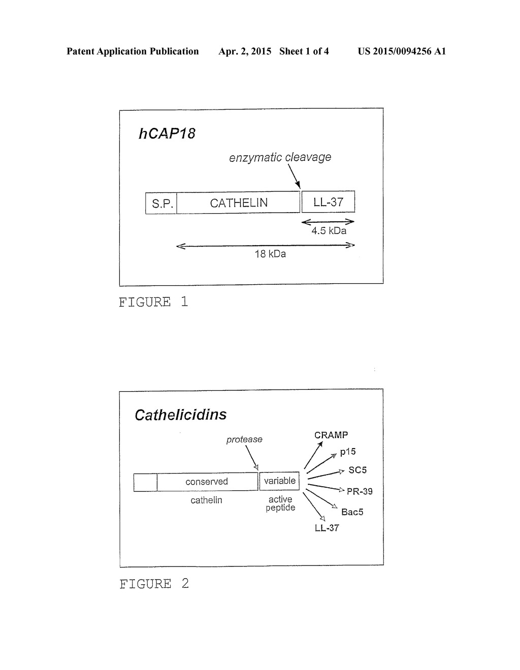 USE OF THE CATHELICIDIN LL-37 AND DERIVATIVES THEREOF FOR WOUND HEALING - diagram, schematic, and image 02