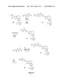 BENZOXEPIN PI3K INHIBITOR COMPOUNDS AND METHODS OF USE diagram and image