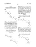 BENZOXEPIN PI3K INHIBITOR COMPOUNDS AND METHODS OF USE diagram and image