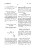 BENZOXEPIN PI3K INHIBITOR COMPOUNDS AND METHODS OF USE diagram and image