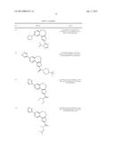 BENZOXEPIN PI3K INHIBITOR COMPOUNDS AND METHODS OF USE diagram and image