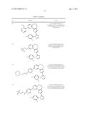 BENZOXEPIN PI3K INHIBITOR COMPOUNDS AND METHODS OF USE diagram and image