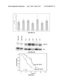 Methods for Differentiating Pancreatic Cancer from Normal Pancreatic     Function and/or Chronic Pancreatitis diagram and image