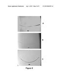 METHOD FOR MAKING UV-ABSORBING OPHTHALMIC LENSES diagram and image