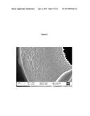 Asymmetric Modified Carbon Molecular Sieve Hollow Fiber Membranes Having     Improved Permeance diagram and image