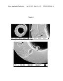 Asymmetric Modified Carbon Molecular Sieve Hollow Fiber Membranes Having     Improved Permeance diagram and image