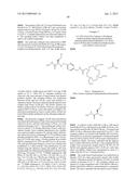 N-ALKOXYAMIDE CONJUGATES AS IMAGING AGENTS diagram and image